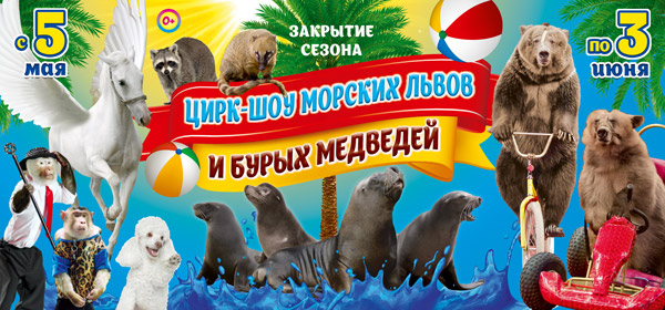 In Gomel State Circus, May 5 - June 3, 2018 : Circus show of sea lions and brown bears