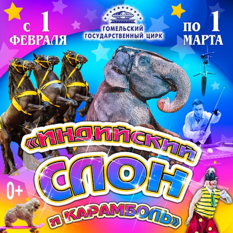 In Gomel State Circus, 1.02.2020—1.03.2020 :: «Indian elephant and carom»