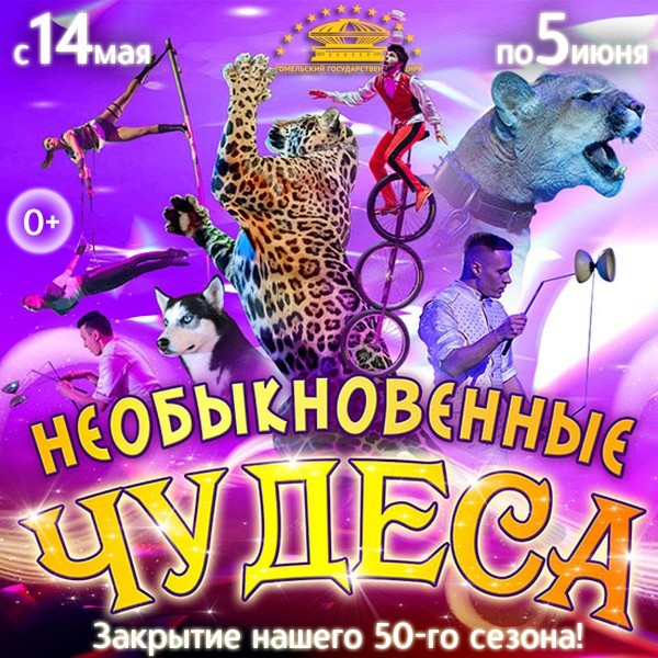 In Gomel State Circus, ;